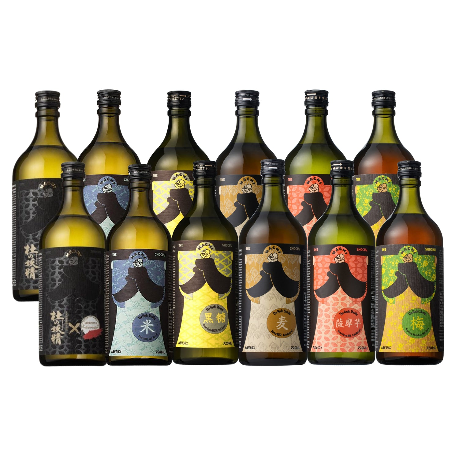 A set of ten Japanese sake bottles arranged in two rows against a plain white background. The bottles are dark green glass with colorful labels in black, blue, yellow, beige, orange, and green, featuring traditional Japanese calligraphy and illustrations.